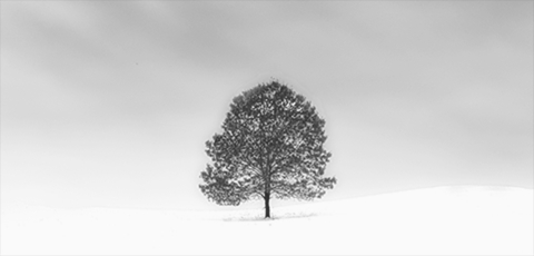 天空较亮小行星5日“冲日” 公众可观测